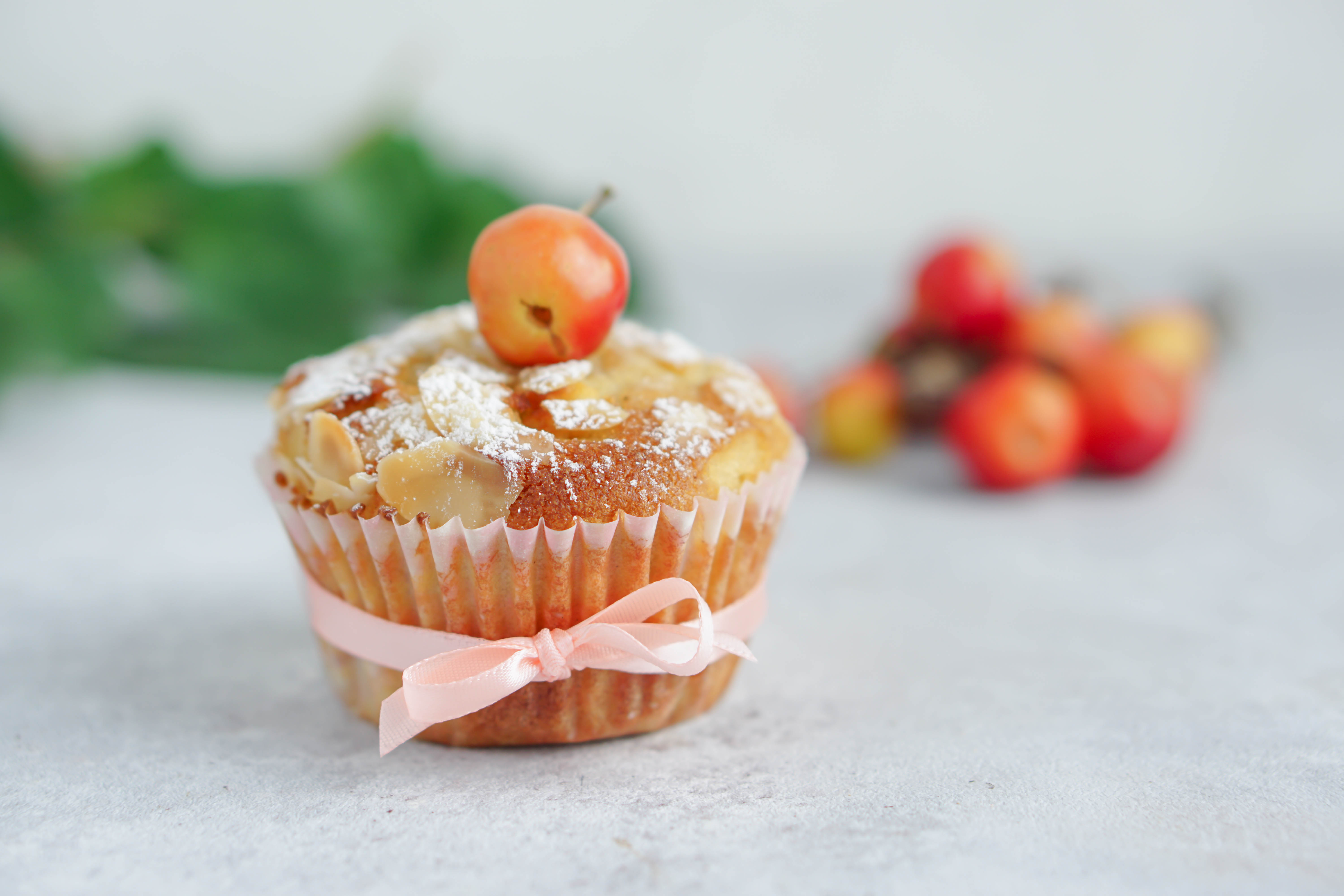 Schnelle Apfel Muffins mit Zimt / laktosefrei-weizenfrei-histaminarm