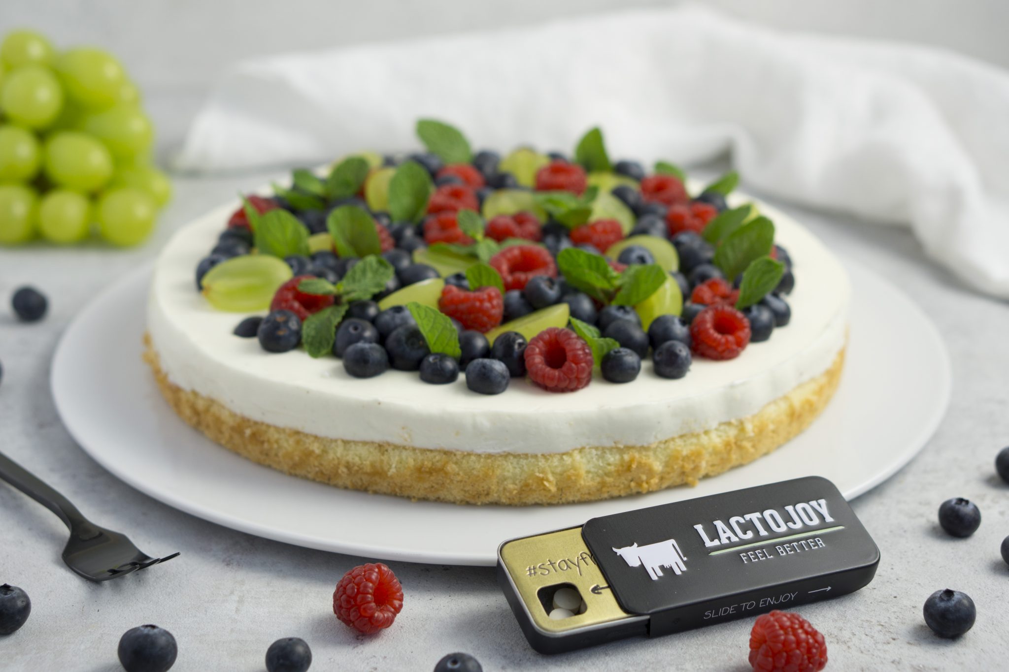 Einfache Quark-Torte mit Biskuit und Obst / Histaminarm-Laktosefrei